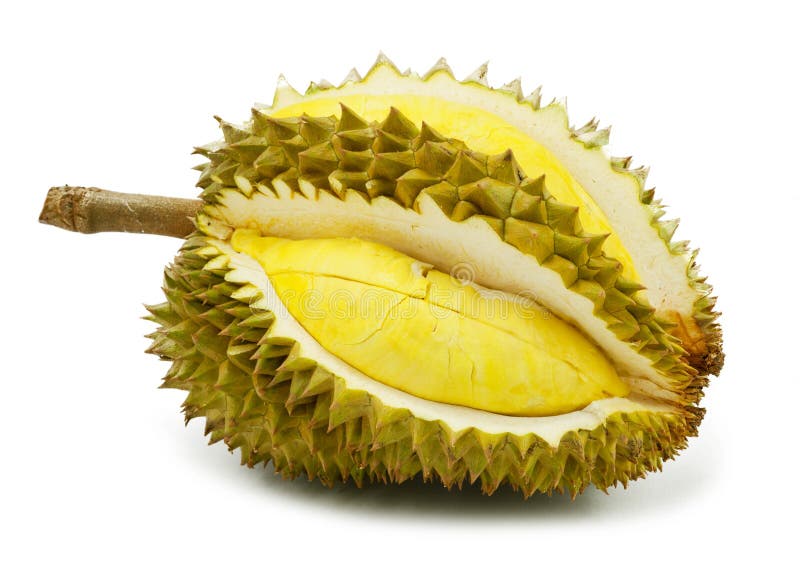 Durian isolated royalty free stock images