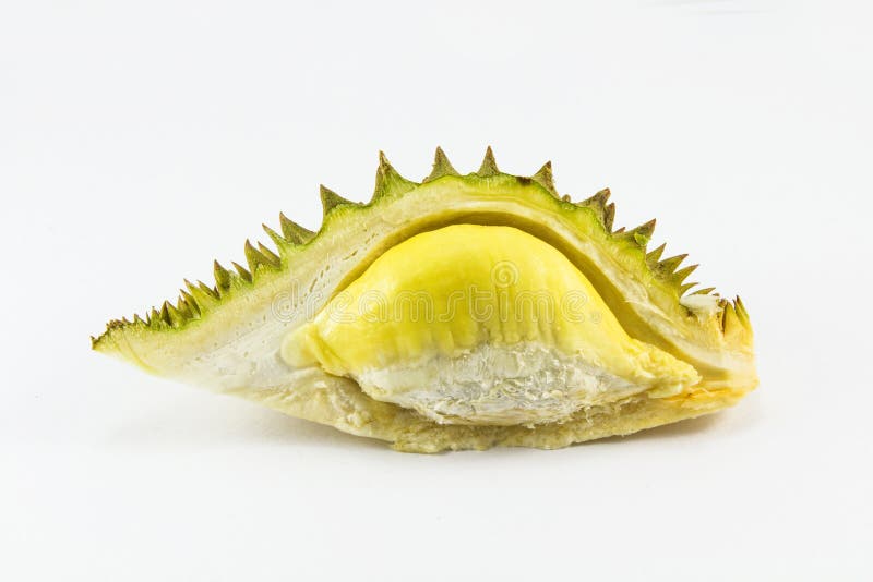 Durian isolated royalty free stock image