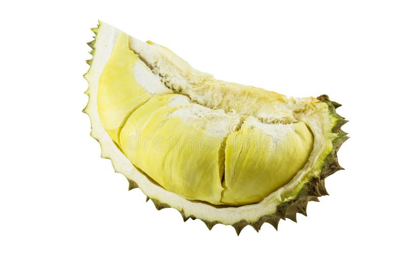 Durian isolated royalty free stock photography