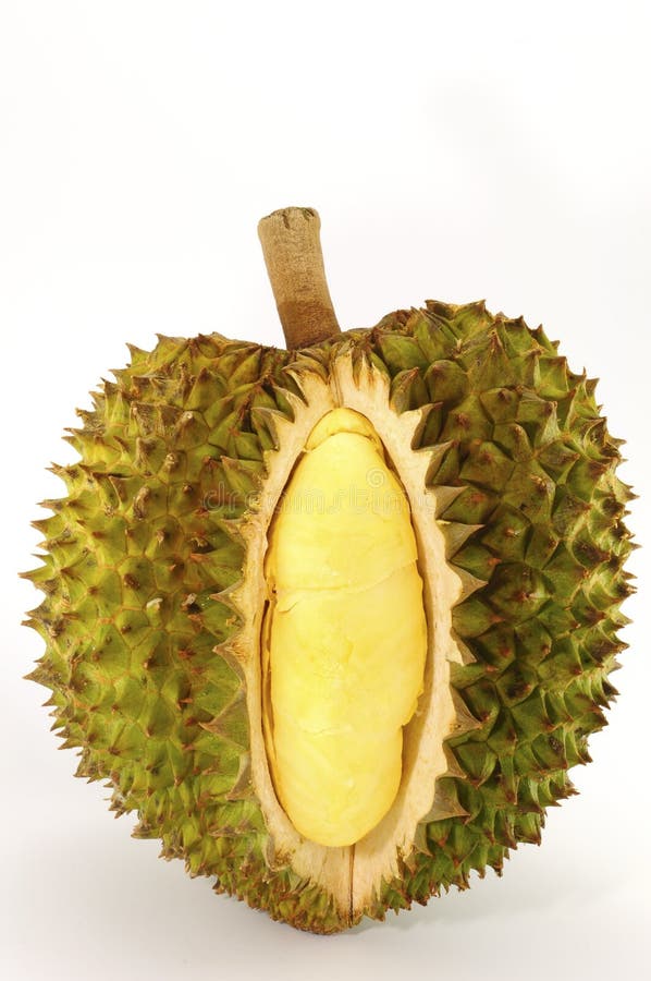 Durian isolated on white royalty free stock photography