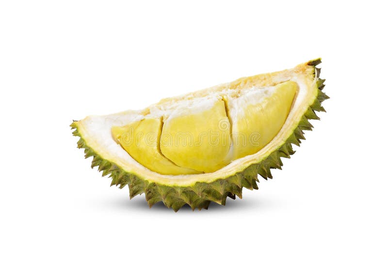 Durian isolated on white background stock images