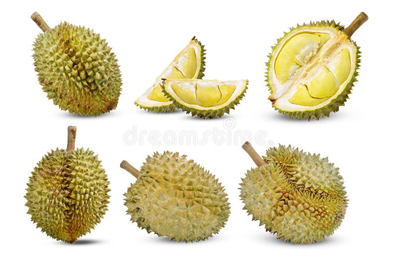 Durian isolated on white background royalty free stock photos