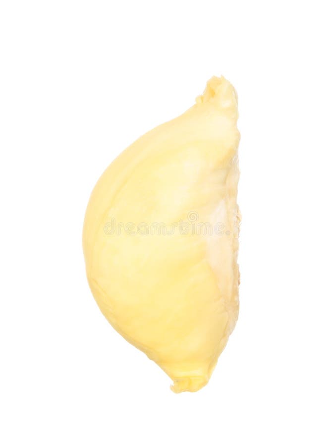 Durian isolated on white stock image
