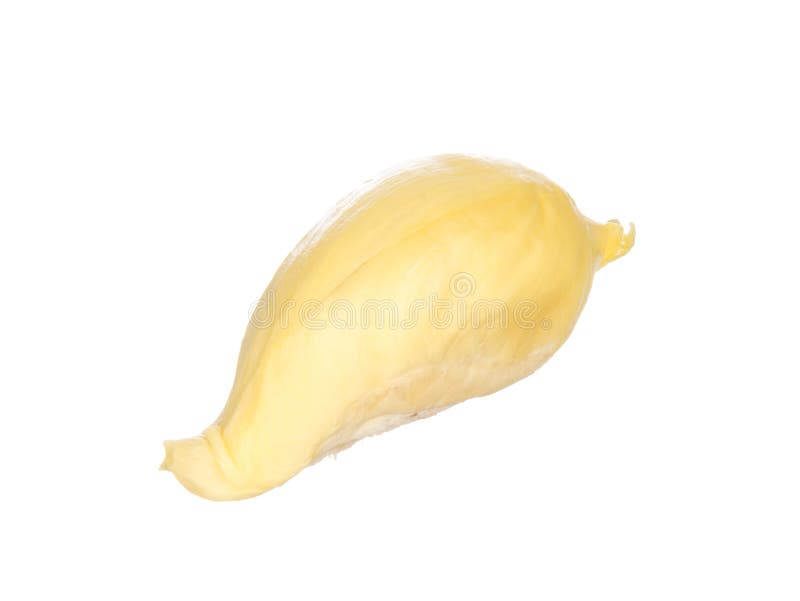 Durian isolated on white royalty free stock image