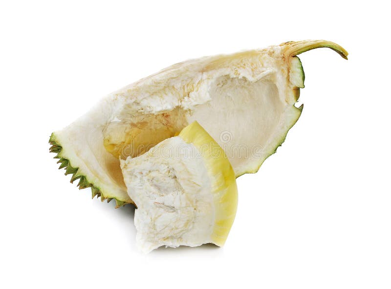 Durian isolated on white background royalty free stock photo