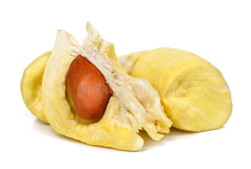 Durian isolated on the white background royalty free stock image