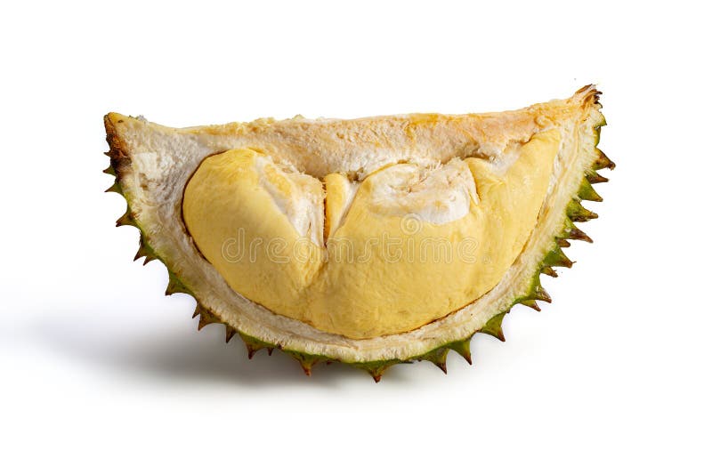 Durian isolated white background stock photos