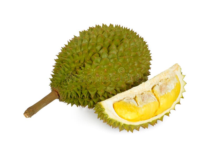 Durian isolated on white background royalty free stock image
