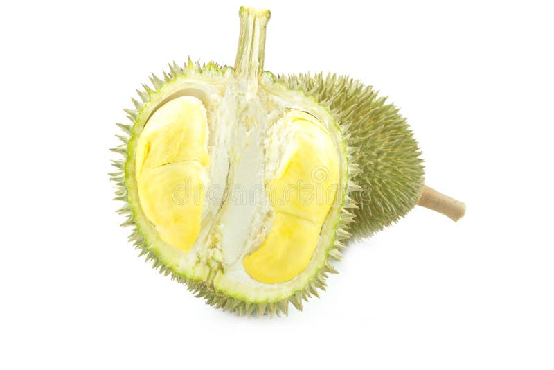 Durian isolated on white background stock photo