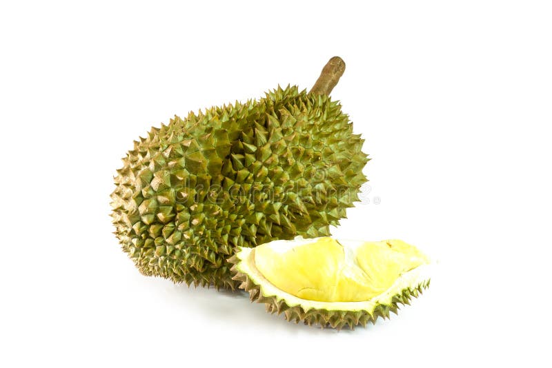 Durian isolated on white background stock photo
