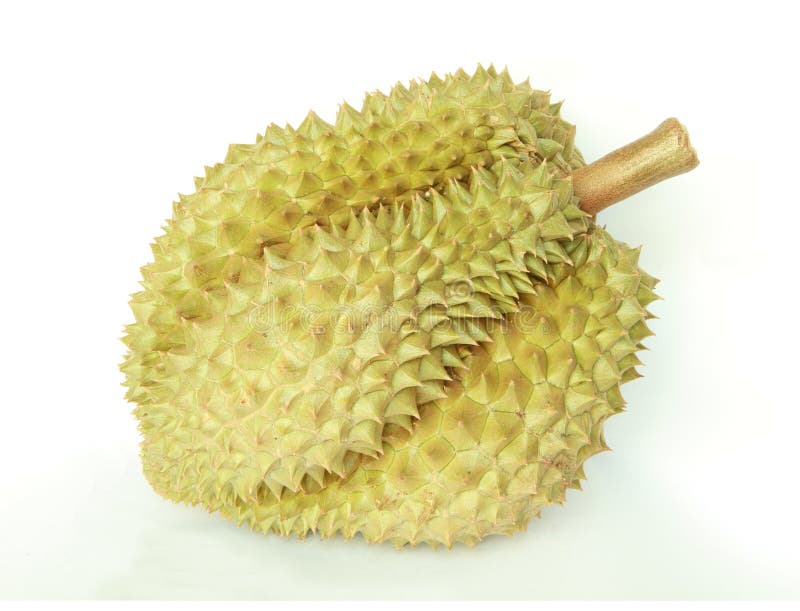 Durian , king of fruit stock photo. Image of food, stall 24438972