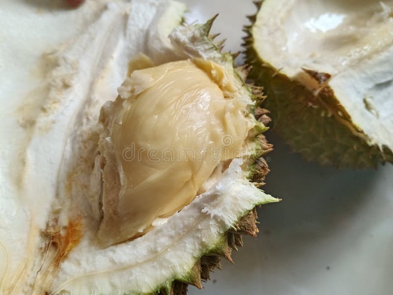 Durian the king of fruits stock photo. Image of delicious 237766236