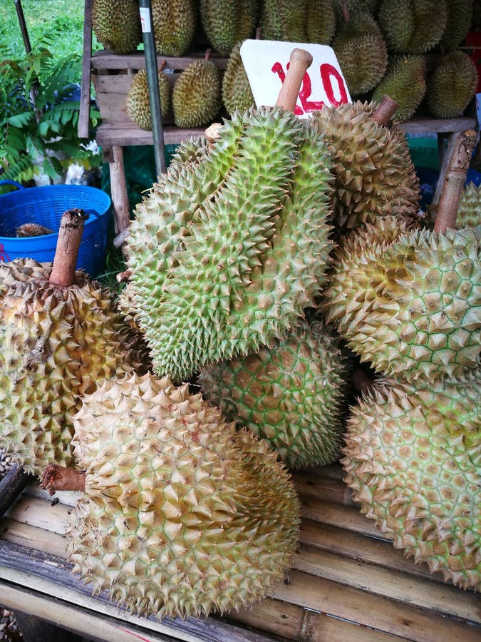 Ioi harga durian Adab Jual