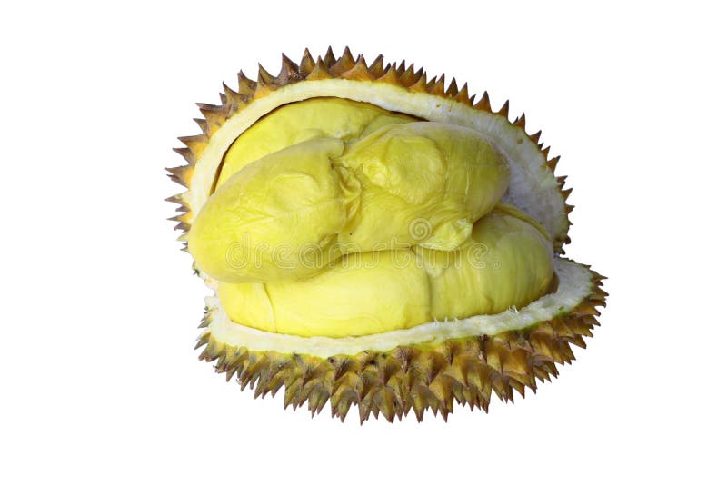 Durian,The king of Thai fruit