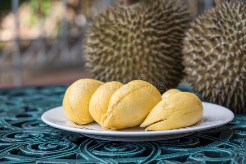 Durian na bielu talerzu w tle Tęsk trzon lub durian «Kan Yao « obraz stock Durian na bielu talerzu w tle Tęsk trzon lub durian «Kan Yao « obraz stock