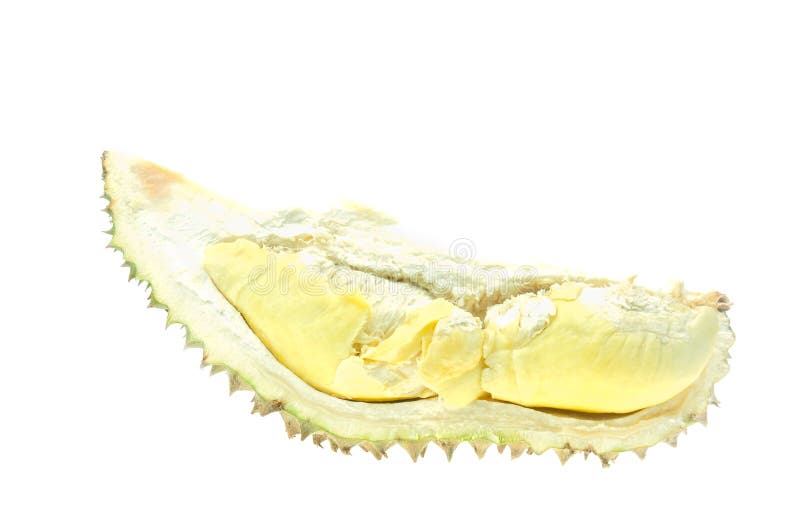 durian owoc odosobniona fotografia tropikalna zdjęcia royalty free durian owoc odosobniona fotografia tropikalna zdjęcia royalty free