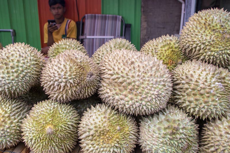 Durian zdjęcie stock Durian zdjęcie stock