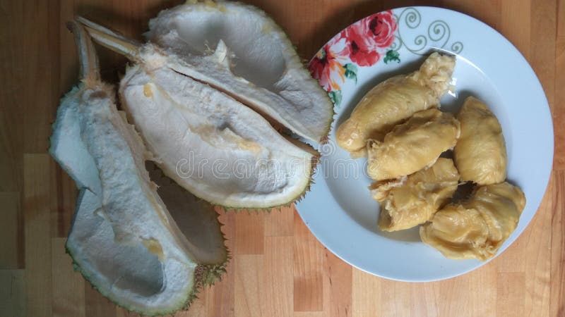 durian απομονωμένη καρπός φωτογραφία τροπική στοκ φωτογραφίες durian απομονωμένη καρπός φωτογραφία τροπική στοκ φωτογραφίες