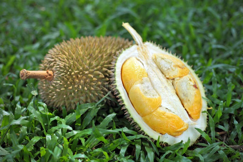 Durians