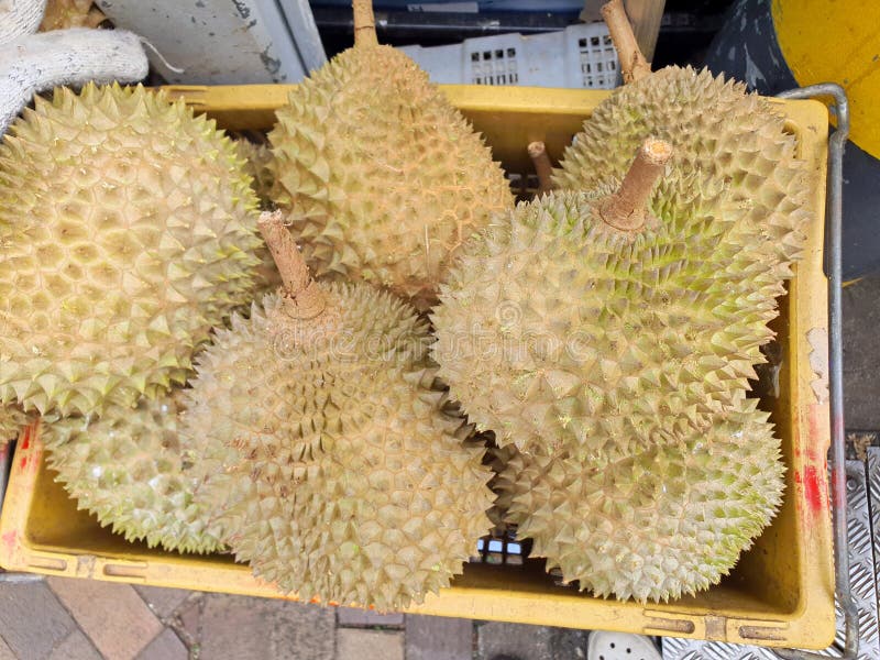Durians na sprzedaż w singapurze obraz royalty free