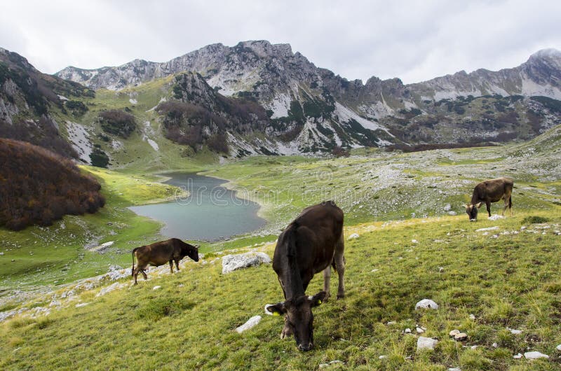 Durmitor, Montenegro