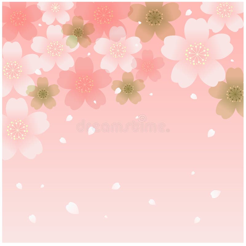 Dusch av körsbärsröda blomningar vektor illustrationer
