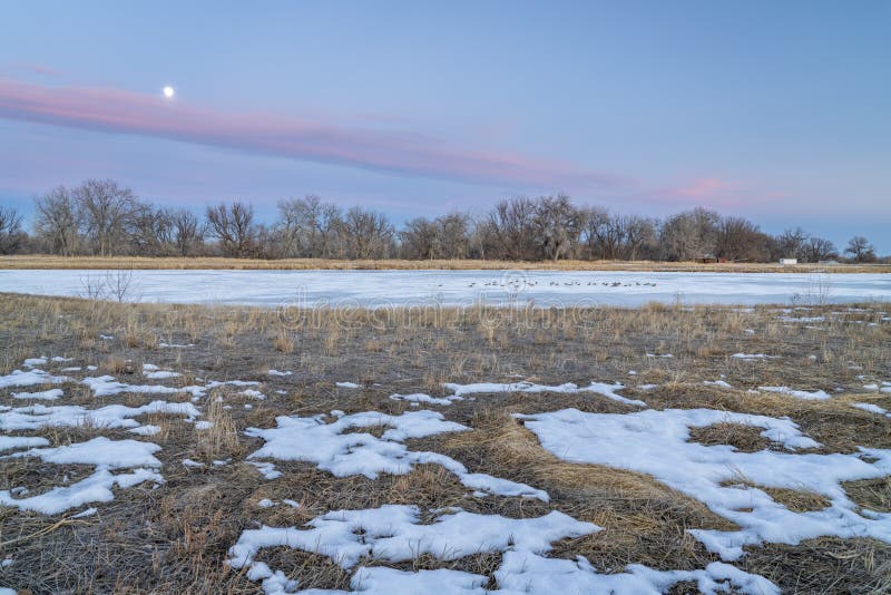 Dusk over Colorado plains stock photo. Image of goose - 239109692