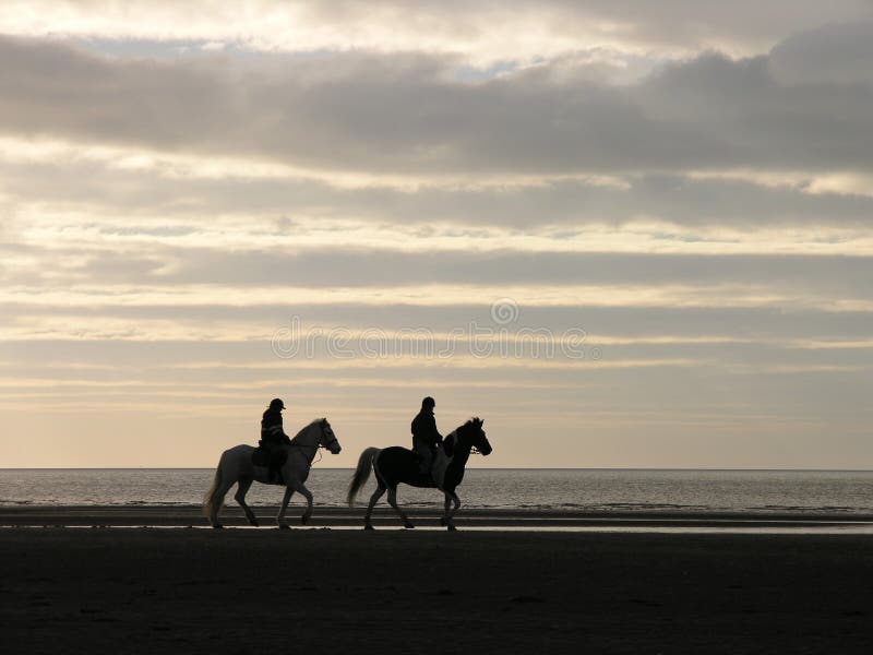 Horseriders on a beach at early evening. Horseriders on a beach at early evening