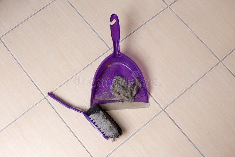 Dust Pan with Dirt on Floor Stock Photo Image of duty, clot 104243838