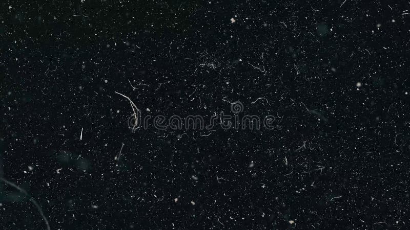 Dust particles falling on black background, macro. dust particles fly in the air over black background with light leak