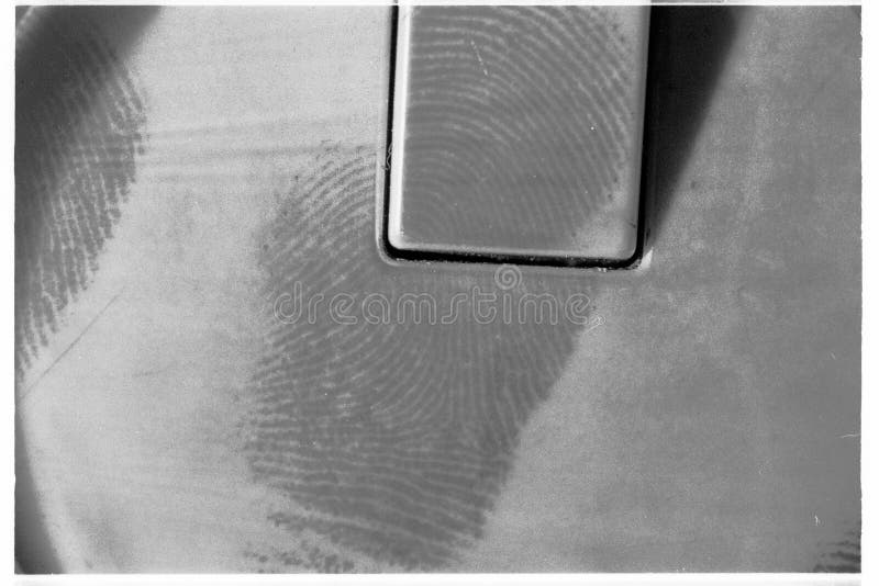 In a simulated crime scene, suspect latent prints are discovered and visualised using aluminium powder on a light switch. grain very visible. In a simulated crime scene, suspect latent prints are discovered and visualised using aluminium powder on a light switch. grain very visible