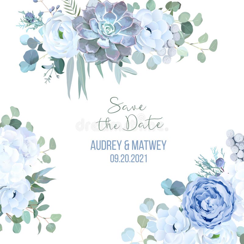Dusty blue rose, echeveria succulent, white hydrangea, ranunculus, anemone vector illustration