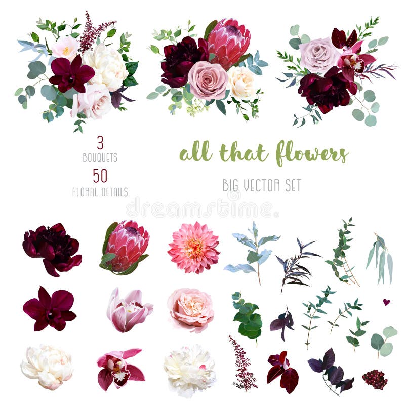 pix Burgundy And Rose Gold Flowers Clipart burgundy stock illustrations 34 486