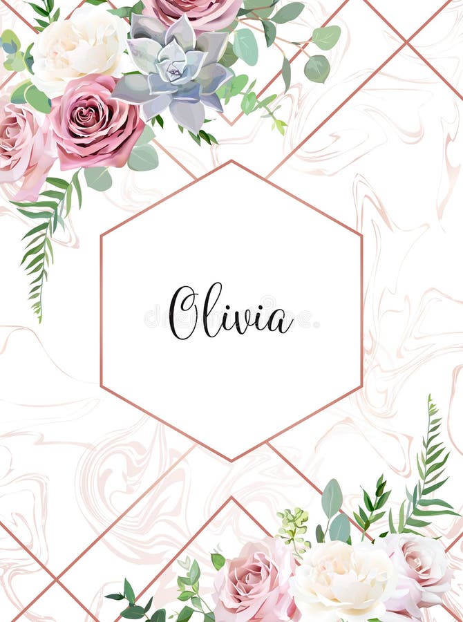 Dusty pink, creamy white antique rose, echeveria succulent, pale flowers stock illustration Dusty pink, creamy white antique rose, echeveria succulent, pale flowers stock illustration