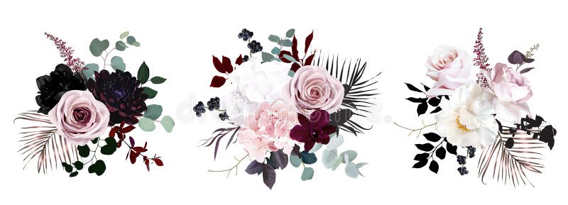 Dusty Pink, Pastel, Black Flowers Big Vector Design Set. Hydrangea