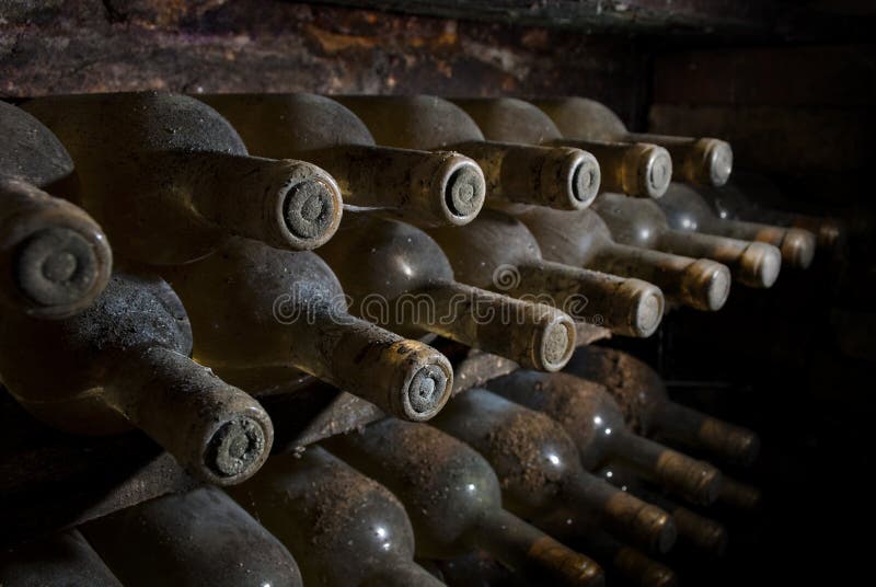 Dusty Wine Bottles Waiting in a Cellar Stock Photo Image of grunge