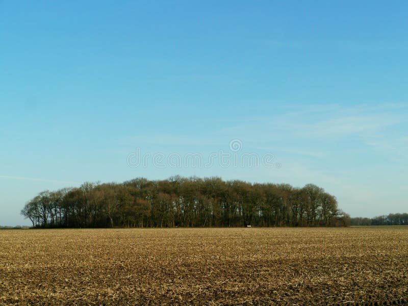 226 Dutch Arable Land Stock Photos Free & RoyaltyFree Stock Photos from Dreamstime