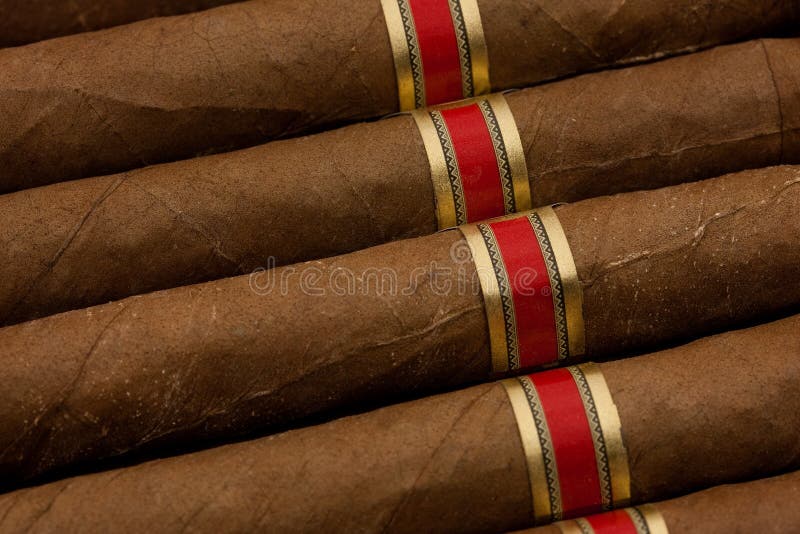 Dutch Cigars stock photo. Image of holland, enjoyment 22232768