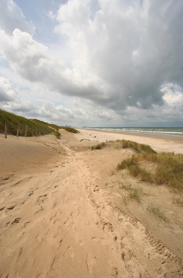 Dutch Coast