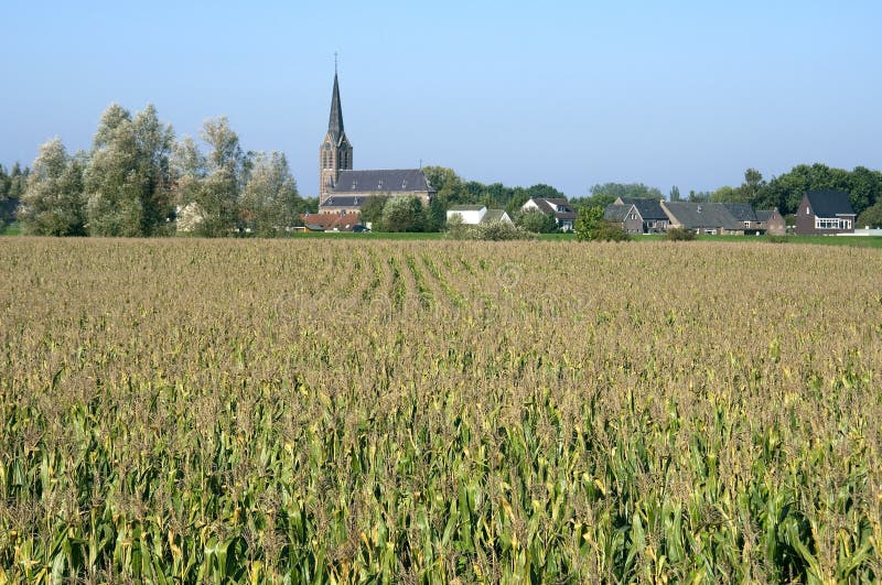 Dutch landscape with church, cornfield and village royalty free stock images Dutch landscape with church, cornfield and village royalty free stock images