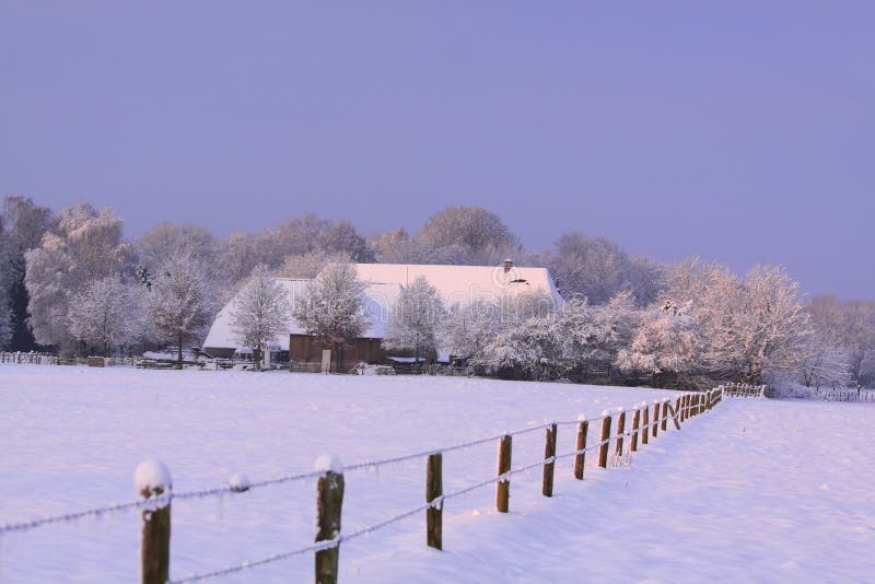 Dutch landscape in winter