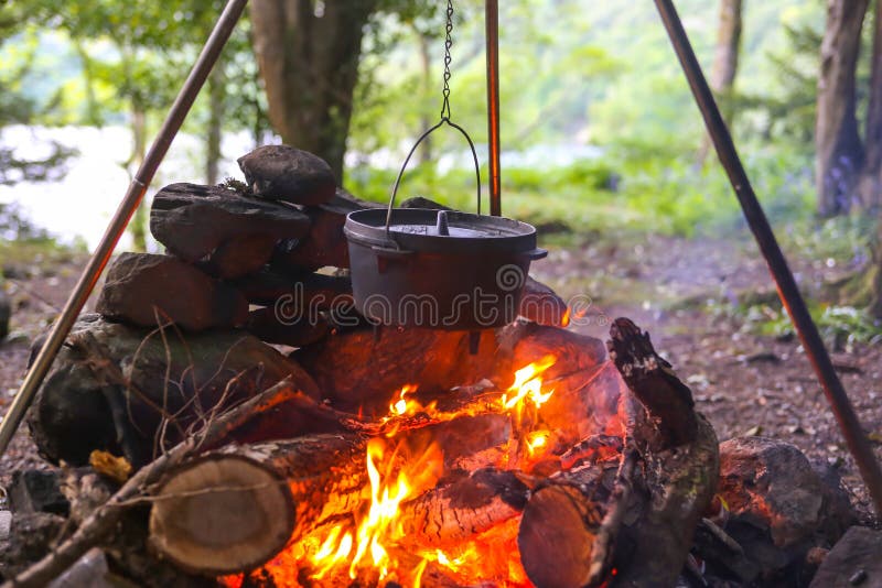 Dutch Oven in Camp Fire stock photo. Image of wood, fire 49018300