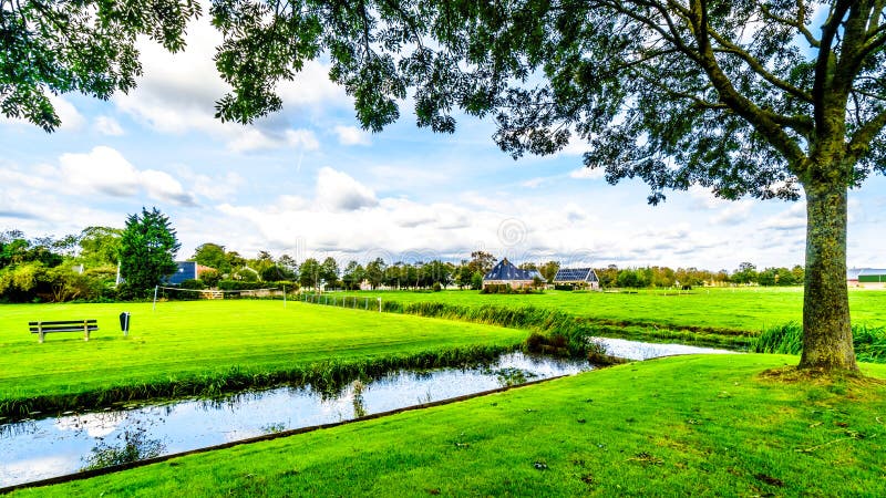 Dutch Polder Landscape in the Netherlands