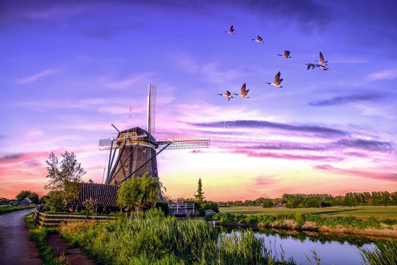 Dutch Sunrise Windmills