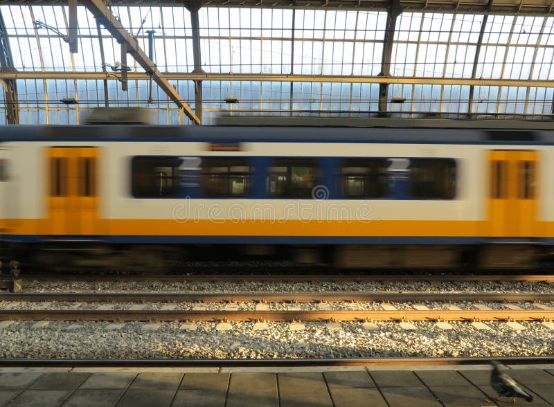 Dutch train in motion