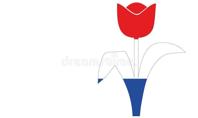 Dutch Tulip in Red White Blue