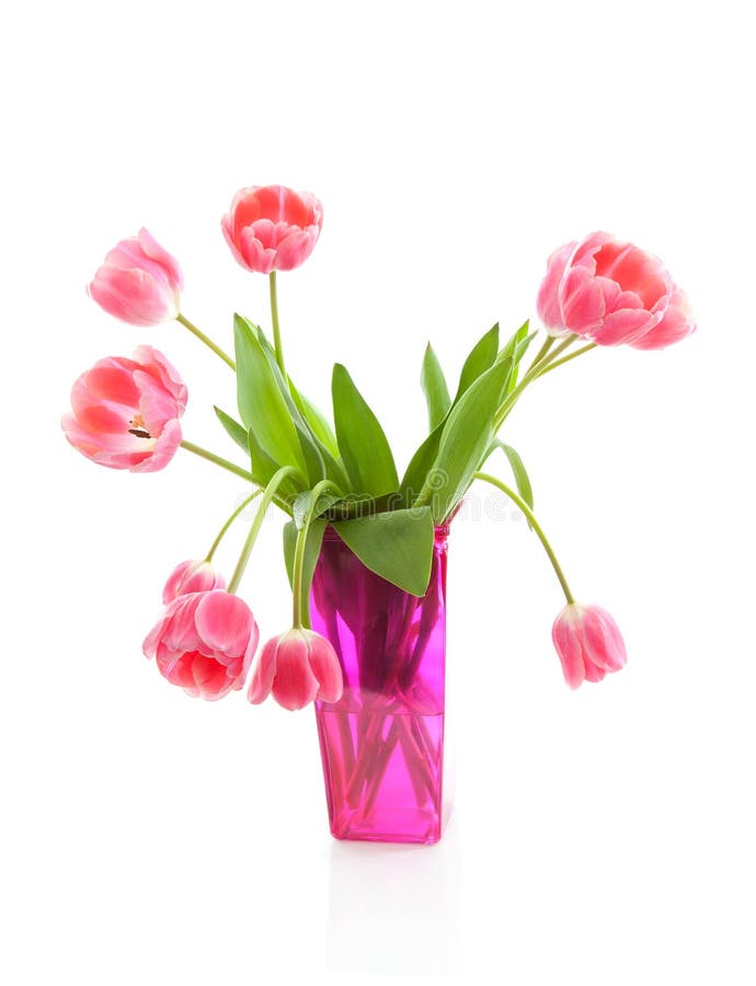 Dutch tulips in pink vase stock image. Image of botany 18553125