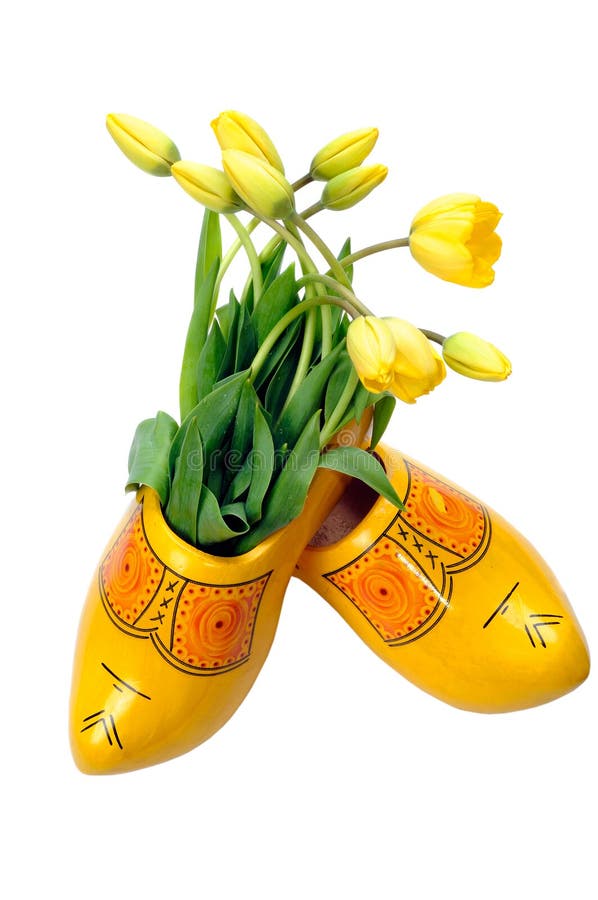 Dutch Yellow Tulips