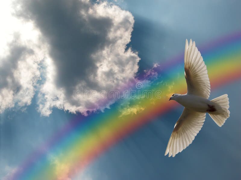 Dove flying in the beautiful sunny sky with a rainbow in the backdrop. Dove flying in the beautiful sunny sky with a rainbow in the backdrop.