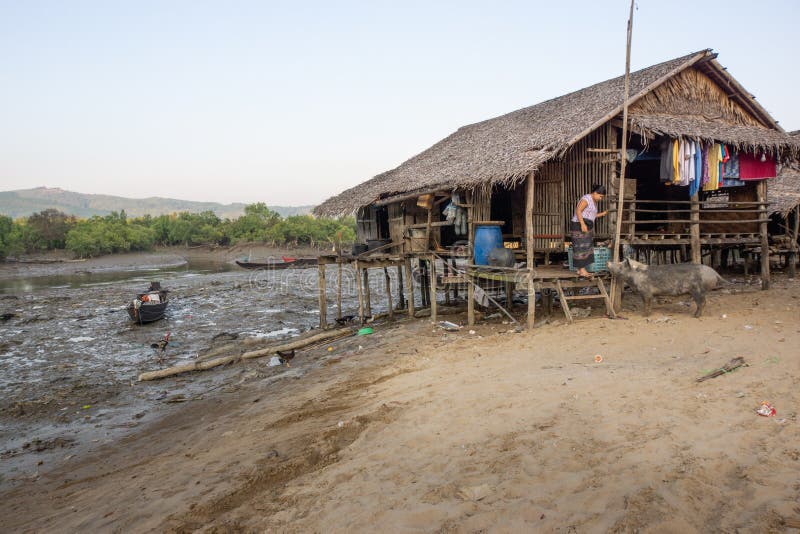 Duya/Myanmar-24 02 2017: La casa di bambù, donna ed il suo maiale immagini stock libere da diritti Duya/Myanmar-24 02 2017: La casa di bambù, donna ed il suo maiale immagini stock libere da diritti